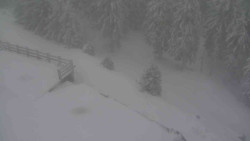 Přístup na běžeckou trať