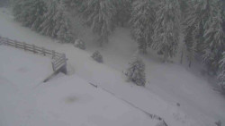 Přístup na běžeckou trať