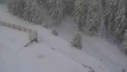 Přístup na běžeckou trať