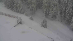 Přístup na běžeckou trať