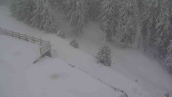 Přístup na běžeckou trať