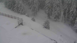 Přístup na běžeckou trať