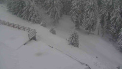 Přístup na běžeckou trať