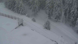 Přístup na běžeckou trať