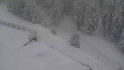 Přístup na běžeckou trať