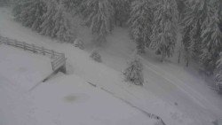 Přístup na běžeckou trať