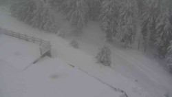 Přístup na běžeckou trať