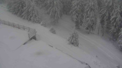 Přístup na běžeckou trať