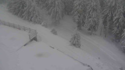 Přístup na běžeckou trať