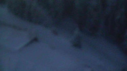 Přístup na běžeckou trať