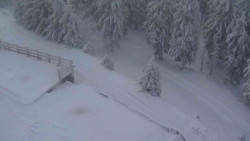 Přístup na běžeckou trať