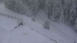 Přístup na běžeckou trať