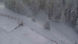 Přístup na běžeckou trať