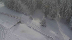 Přístup na běžeckou trať