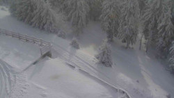 Přístup na běžeckou trať