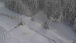 Přístup na běžeckou trať