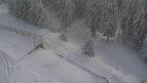 Sporthotel Kurzovní - Přístup na běžeckou trať - 5.1.2026 v 12:30 Sporthotel Kurzovní - Přístup na běžeckou trať - 5.1.2026 v 12:30