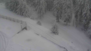 Sporthotel Kurzovní - Přístup na běžeckou trať - 5.1.2026 v 14:00 Sporthotel Kurzovní - Přístup na běžeckou trať - 5.1.2026 v 14:00