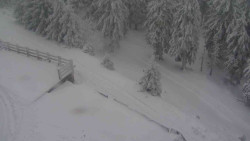 Přístup na běžeckou trať