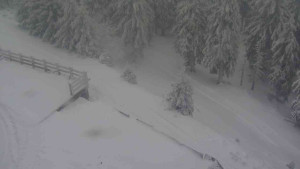 Sporthotel Kurzovní - Přístup na běžeckou trať - 5.1.2026 v 14:30 Sporthotel Kurzovní - Přístup na běžeckou trať - 5.1.2026 v 14:30