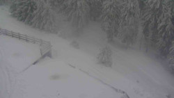 Přístup na běžeckou trať