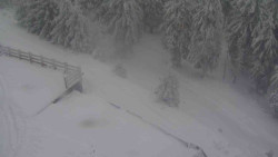 Přístup na běžeckou trať