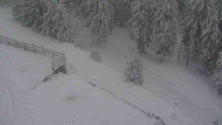 Přístup na běžeckou trať