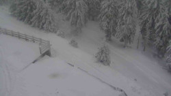 Přístup na běžeckou trať