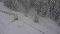 Přístup na běžeckou trať