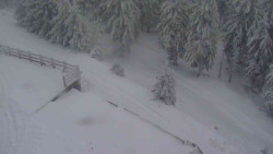 Přístup na běžeckou trať