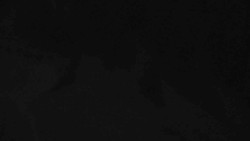 Přístup na běžeckou trať