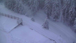 Přístup na běžeckou trať