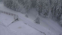 Přístup na běžeckou trať