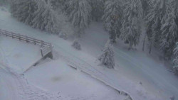 Přístup na běžeckou trať