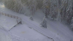 Přístup na běžeckou trať