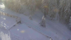 Přístup na běžeckou trať