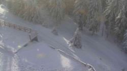 Přístup na běžeckou trať