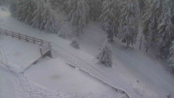 Přístup na běžeckou trať