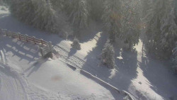 Přístup na běžeckou trať