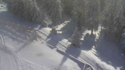 Přístup na běžeckou trať