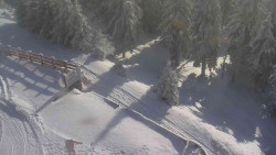 Přístup na běžeckou trať