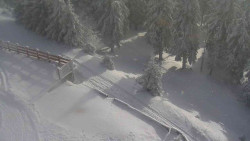 Přístup na běžeckou trať