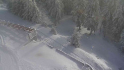 Přístup na běžeckou trať