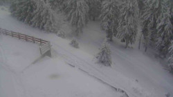 Přístup na běžeckou trať