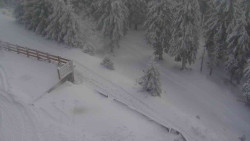 Přístup na běžeckou trať