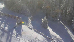 Přístup na běžeckou trať