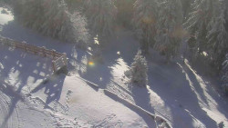 Přístup na běžeckou trať