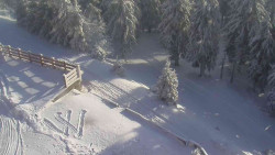 Přístup na běžeckou trať