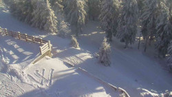 Přístup na běžeckou trať