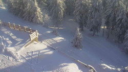 Přístup na běžeckou trať